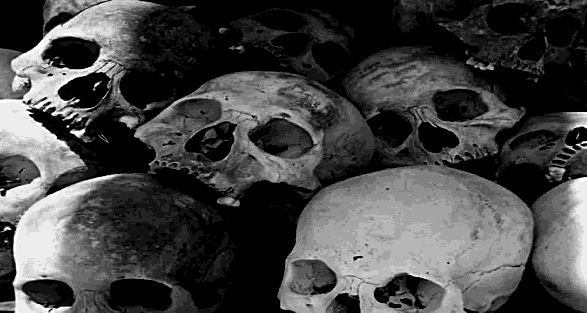 skulls